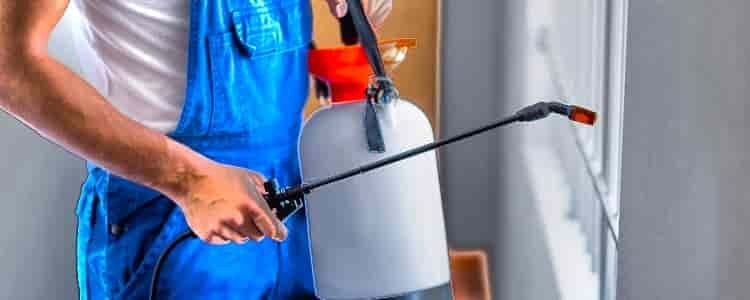 Pest Control Burwood Best Pest Control Burwood